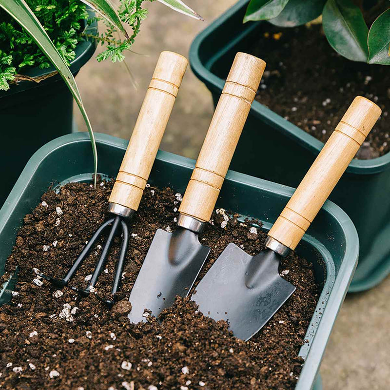 GardenEssentials- Kit Compacto de Pás e Ancinho para  Jardim