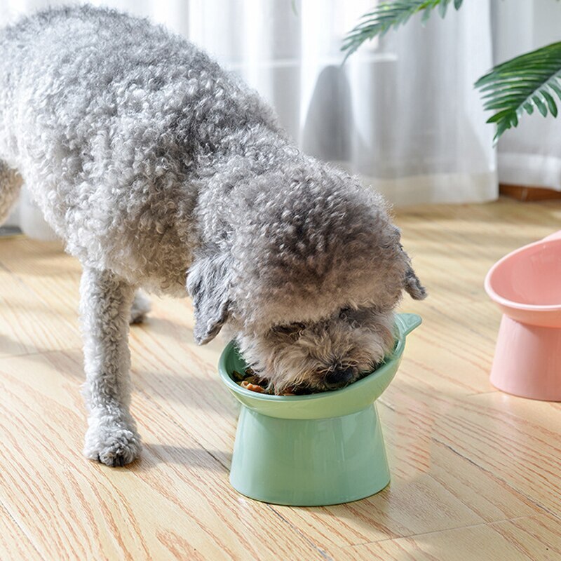 CozyTilt - Tigela de Alimentação Para Pet